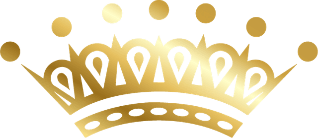 Lind Plastic Surgery & Med Spa Logo