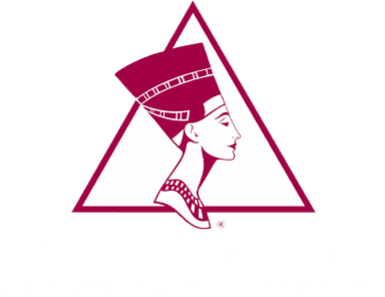 The Aesthetic Society